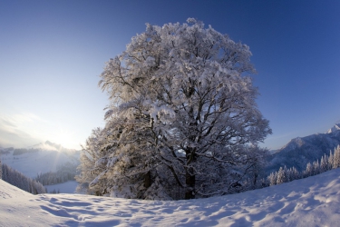 BR Bayrischzell Winter Landschaft Schnee  3